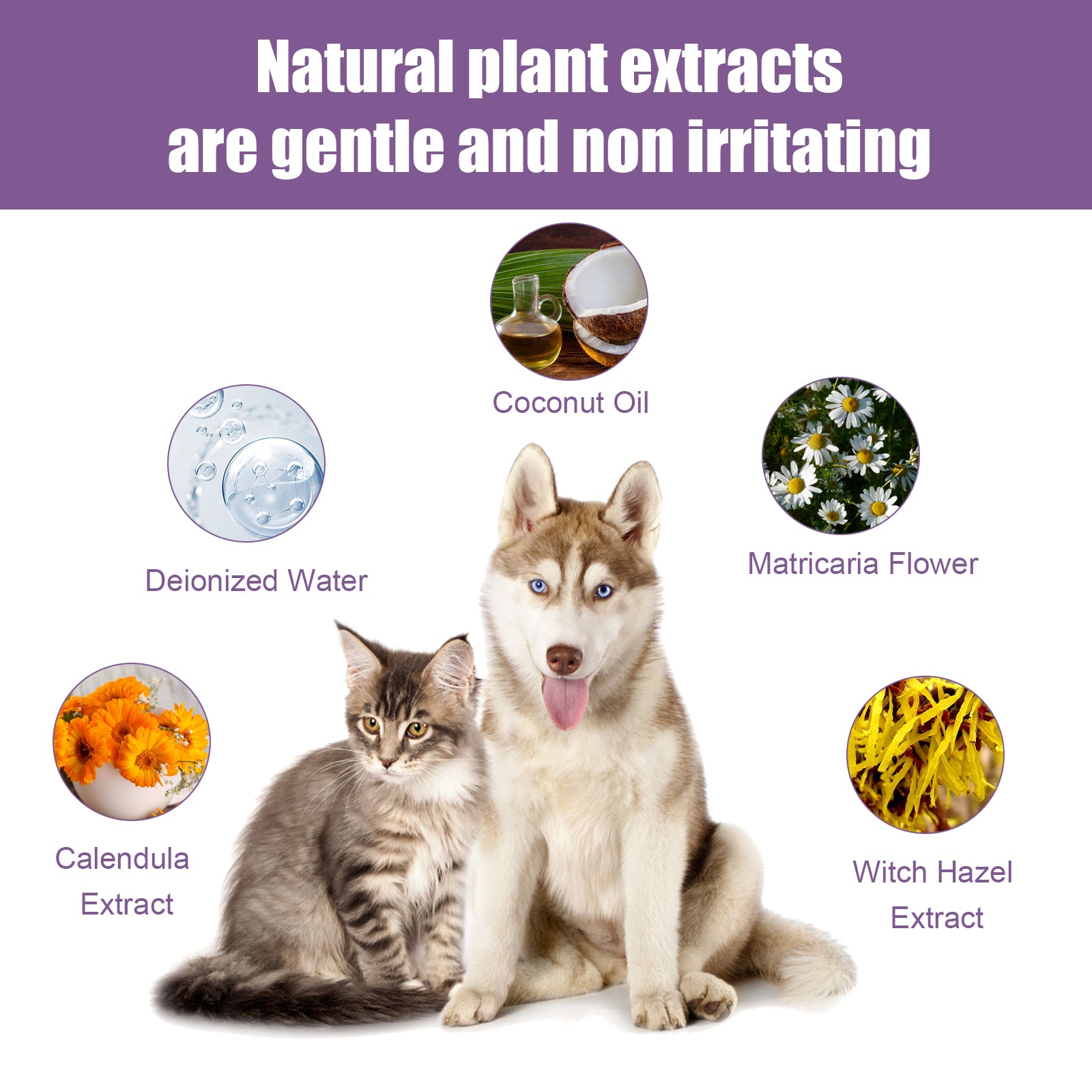 Pet  - Cats And Dogs Ear Cleaner Earwax Wash Drops